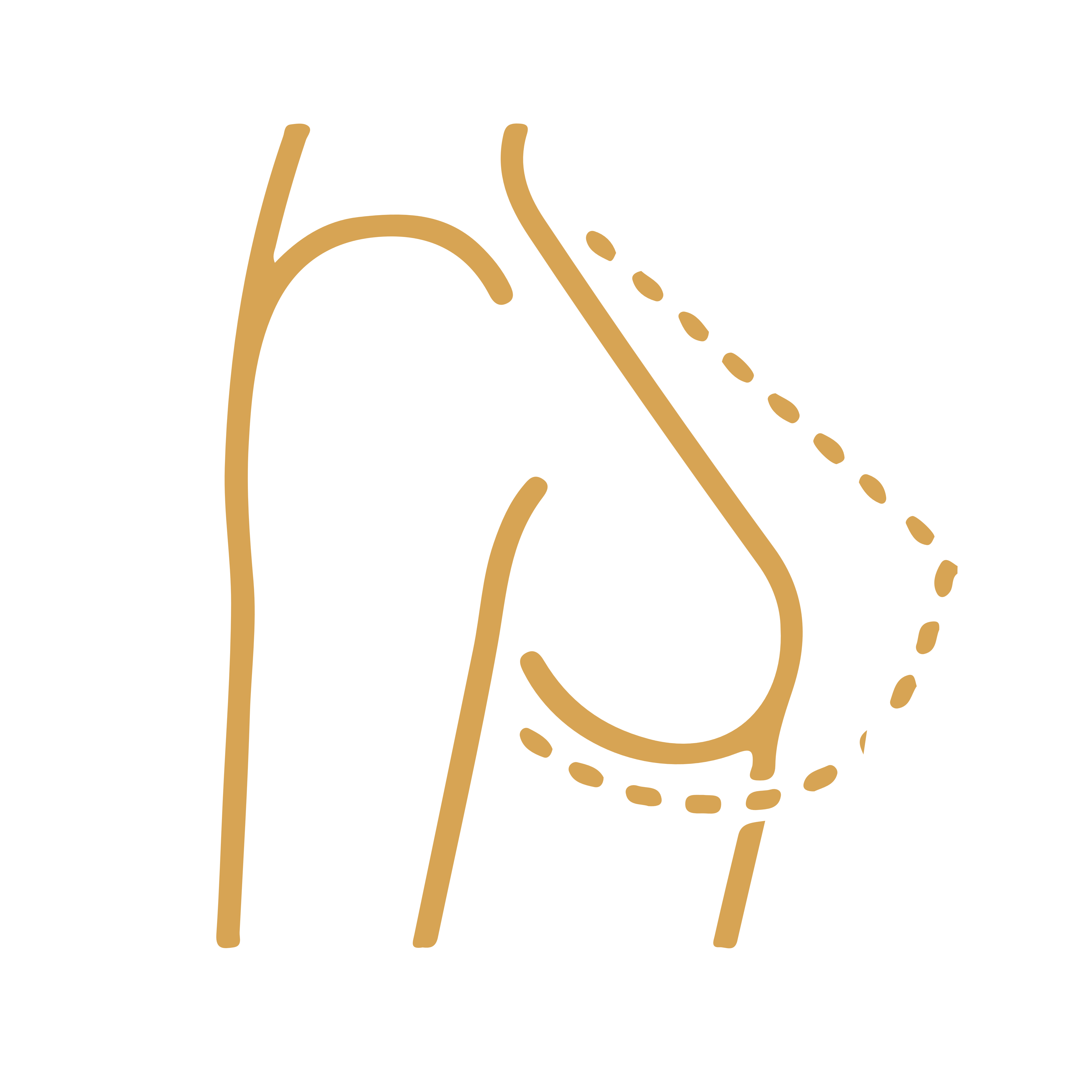 Breast Augmentation