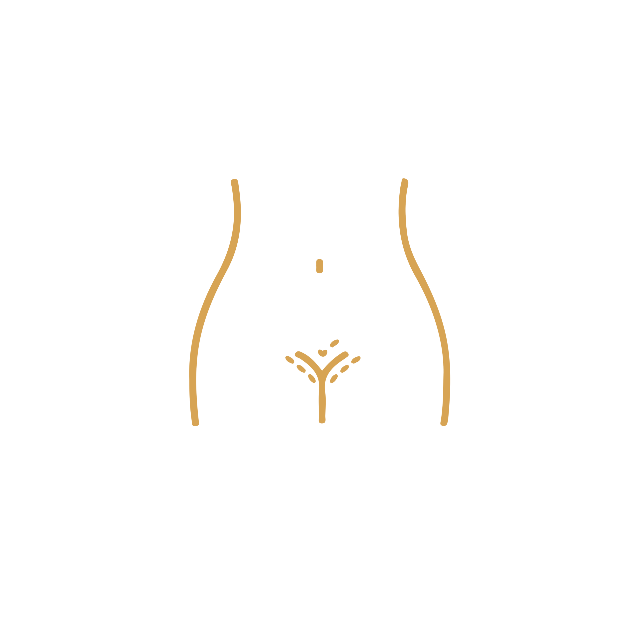 Vaginal Rejuvenation